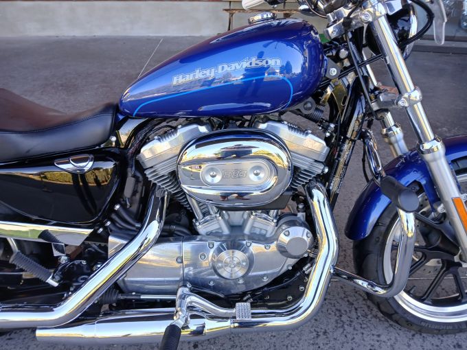 HARLEY-DAVIDSON SPORTSTER 883 LOW 4