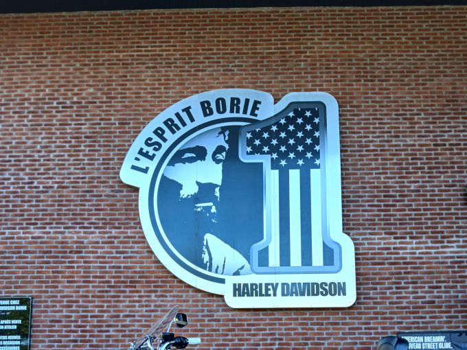 HARLEY-DAVIDSON SPORTSTER 883 LOW 4