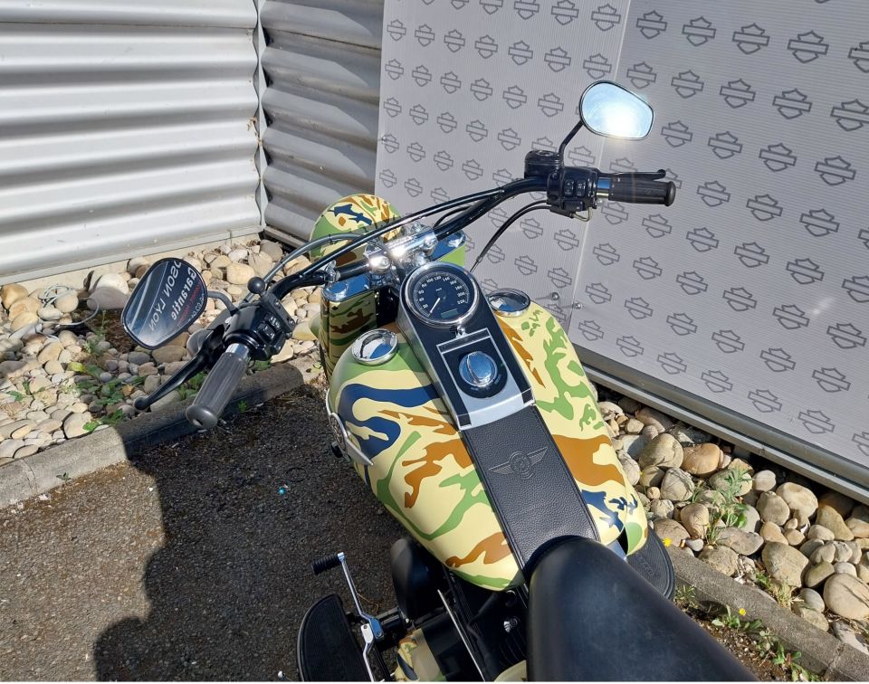 HARLEY-DAVIDSON SOFTAIL FAT BOY 1690 SPECIAL 4