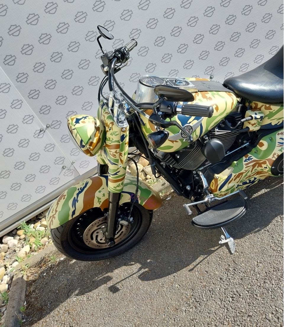 HARLEY-DAVIDSON SOFTAIL FAT BOY 1690 SPECIAL 4