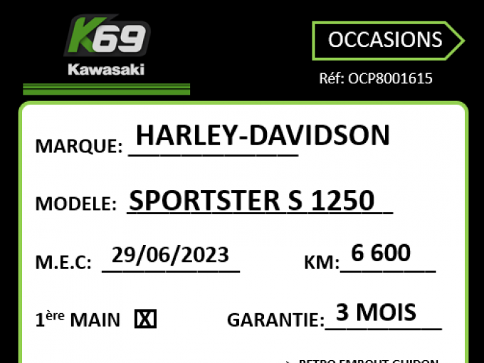 HARLEY-DAVIDSON SPORTSTER 1250 S 4