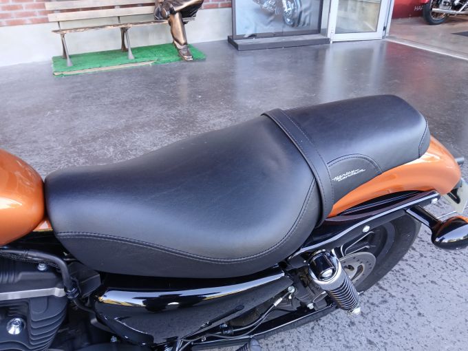 HARLEY-DAVIDSON SPORTSTER IRON 883 N  4