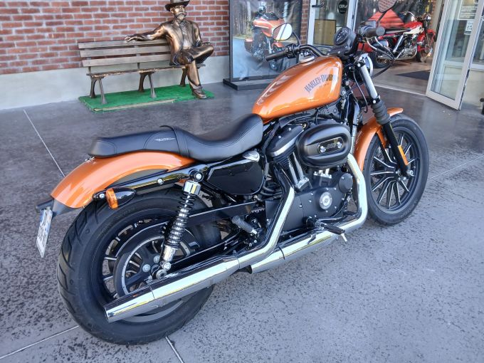 HARLEY-DAVIDSON SPORTSTER IRON 883 N  4