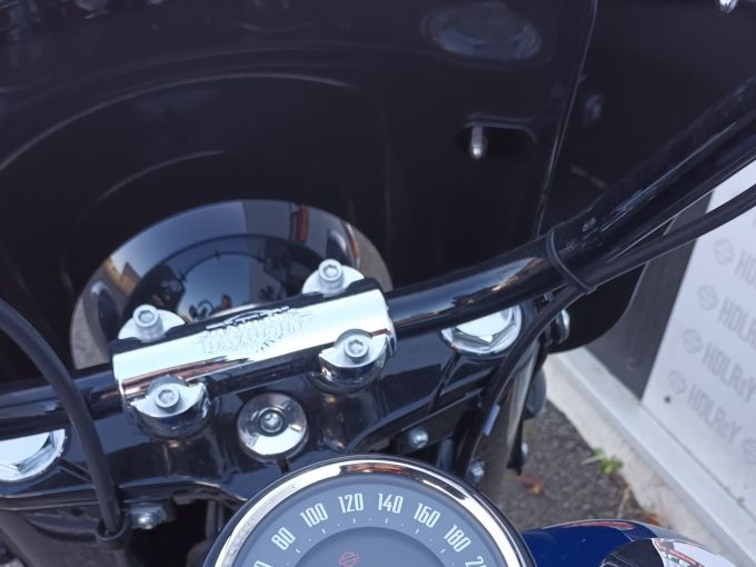 HARLEY-DAVIDSON SOFTAIL HERITAGE 1868 4