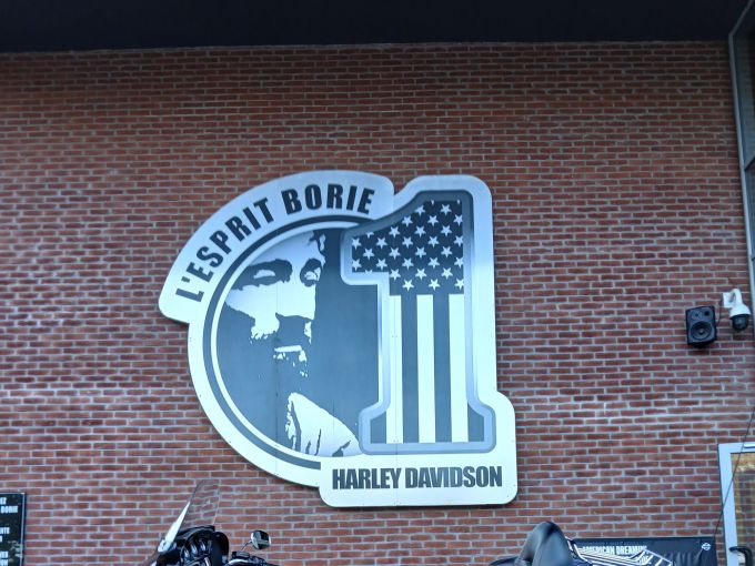 HARLEY-DAVIDSON TOURING ELECTRA GLIDE 1745 ULTRA LIMITED 4