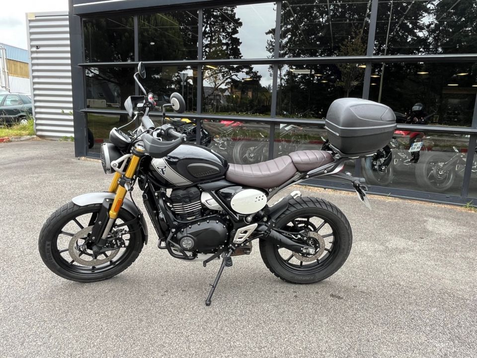 TRIUMPH Scrambler 400 X 4