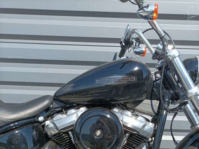 HARLEY-DAVIDSON SOFTAIL STANDARD 1745 4