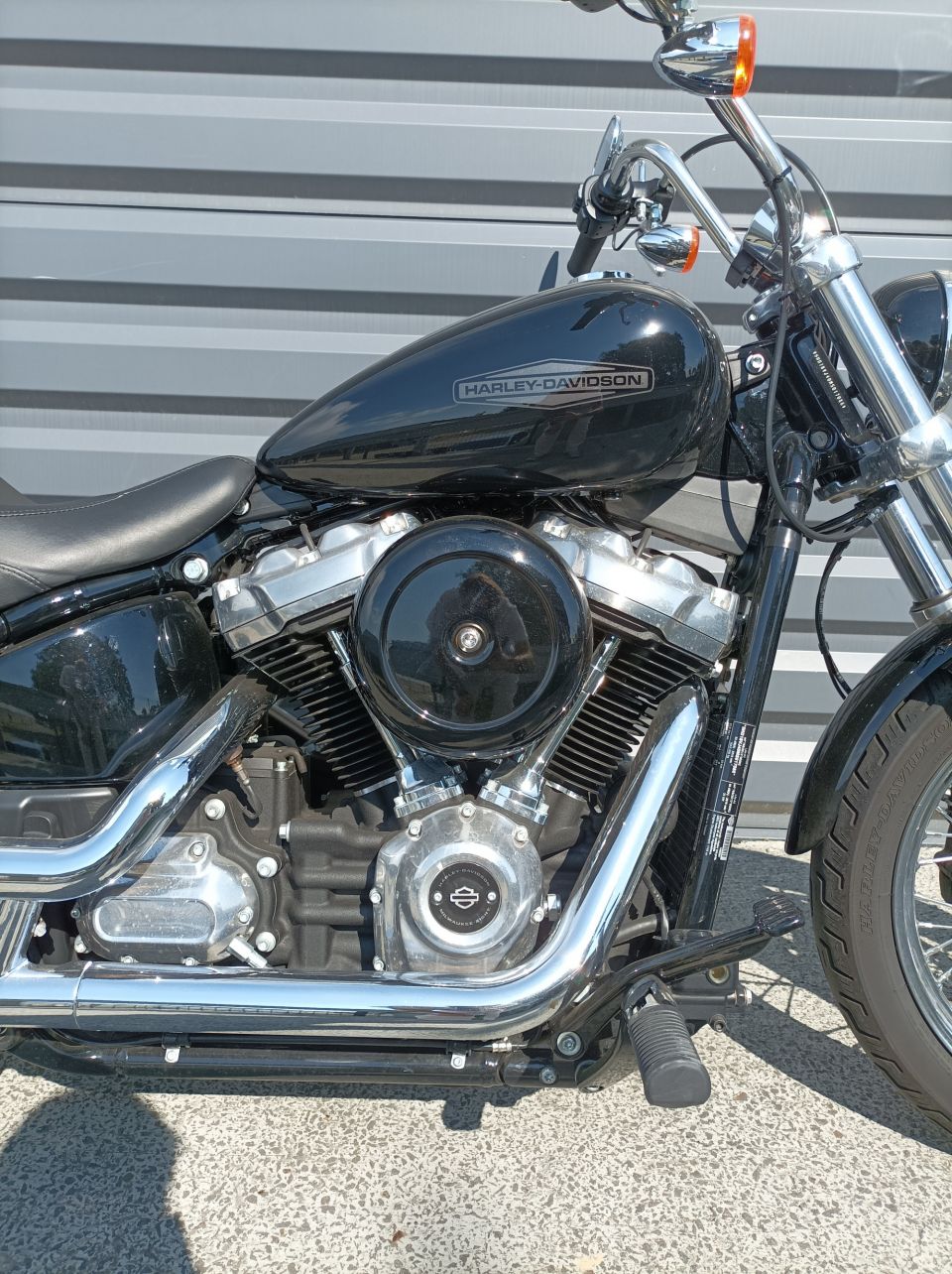 HARLEY-DAVIDSON SOFTAIL STANDARD 1745 4