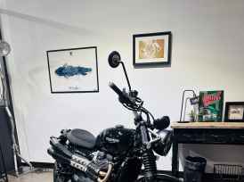 TRIUMPH SCRAMBLER 900 - 2024