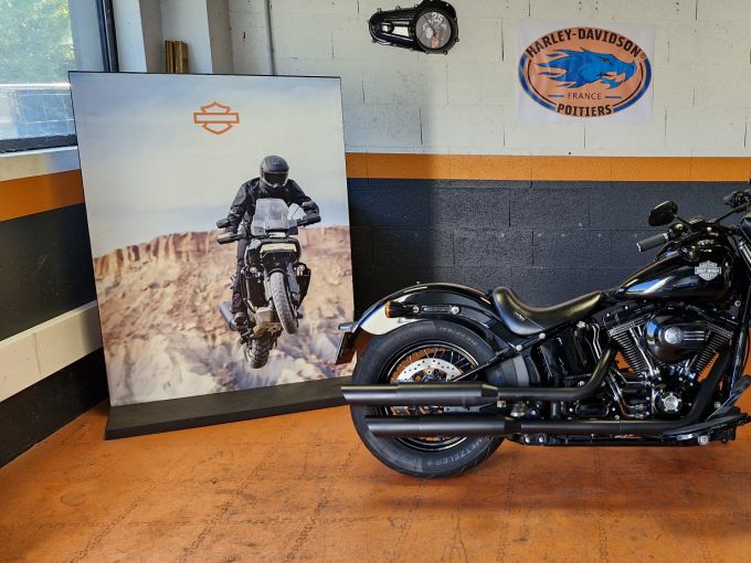 HARLEY-DAVIDSON SOFTAIL SLIM 1800 S 4
