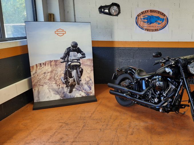HARLEY-DAVIDSON SOFTAIL SLIM 1800 S 4