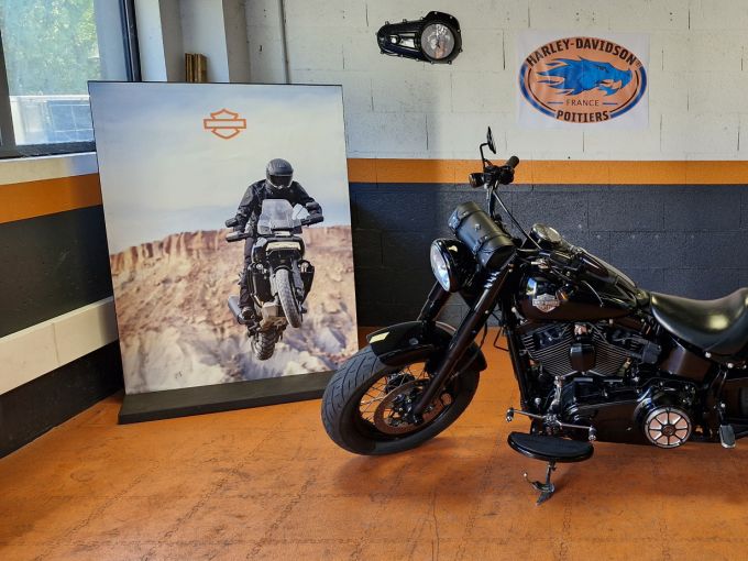 HARLEY-DAVIDSON SOFTAIL SLIM 1800 S 4