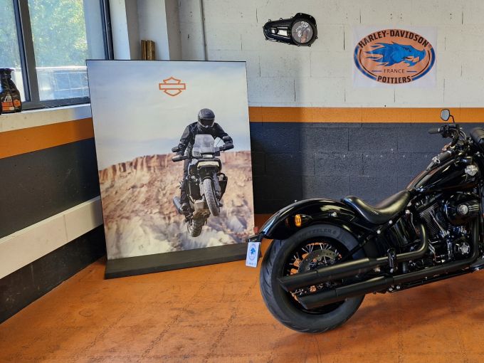 HARLEY-DAVIDSON SOFTAIL SLIM 1800 S 4
