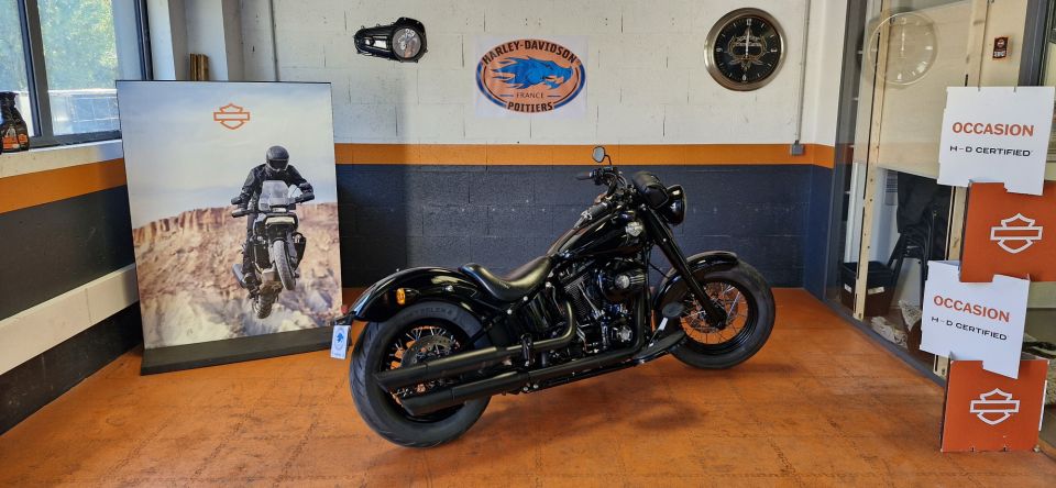 HARLEY-DAVIDSON SOFTAIL SLIM 1800 S 4