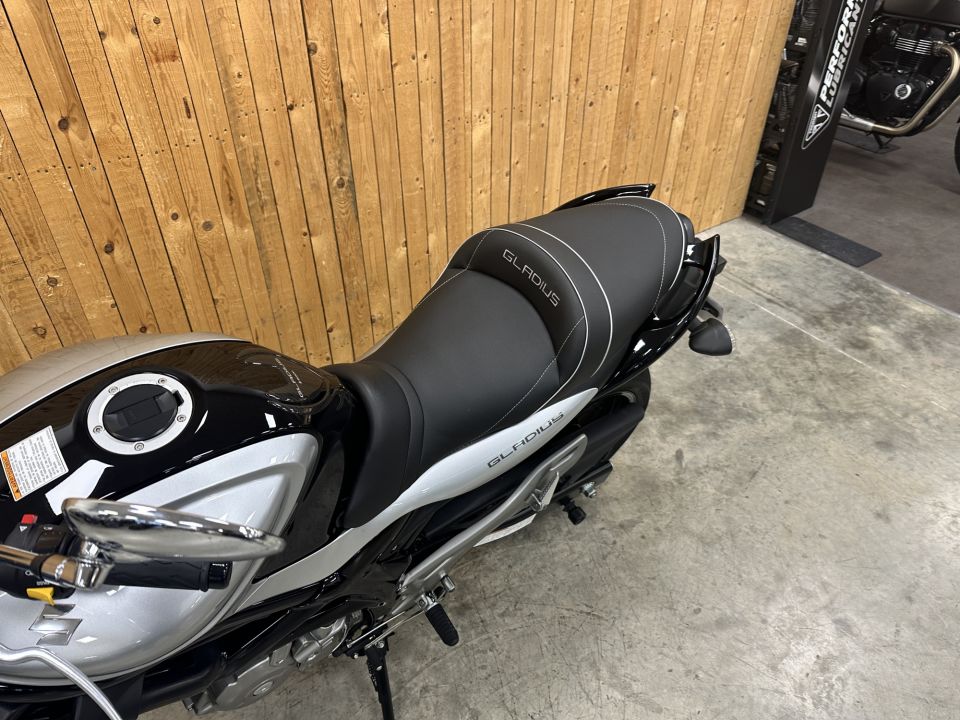 SUZUKI GLADIUS 650 4