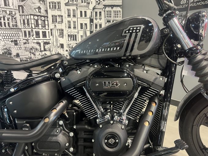 HARLEY-DAVIDSON SOFTAIL STREET BOB 1868 4