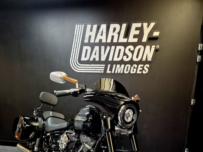 HARLEY-DAVIDSON SOFTAIL SPORT GLIDE 1745 4