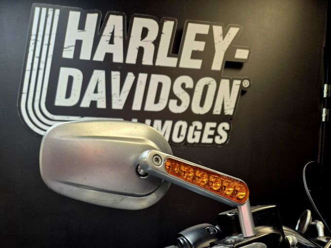 HARLEY-DAVIDSON SOFTAIL SPORT GLIDE 1745 4