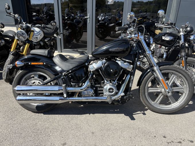 HARLEY-DAVIDSON SOFTAIL STANDARD 1745 4