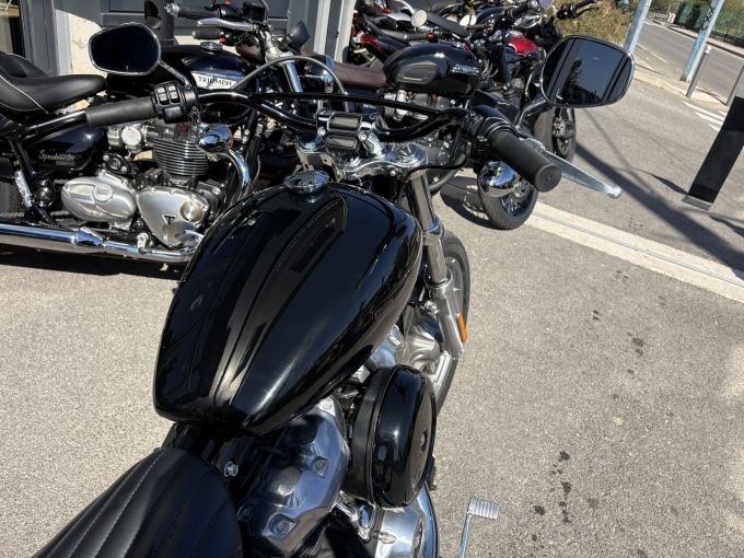 HARLEY-DAVIDSON SOFTAIL STANDARD 1745 4