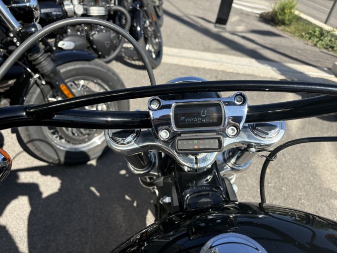 HARLEY-DAVIDSON SOFTAIL STANDARD 1745 4
