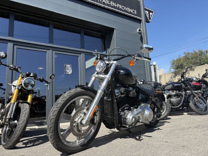HARLEY-DAVIDSON SOFTAIL STANDARD 1745 4