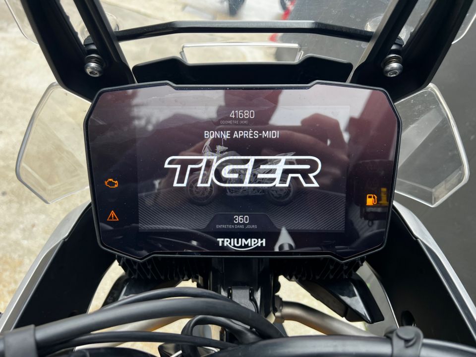 TRIUMPH TIGER 900 RALLY PRO 4