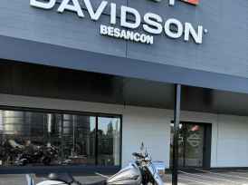 HARLEY-DAVIDSON SOFTAIL FAT BOY 1584 - 2009