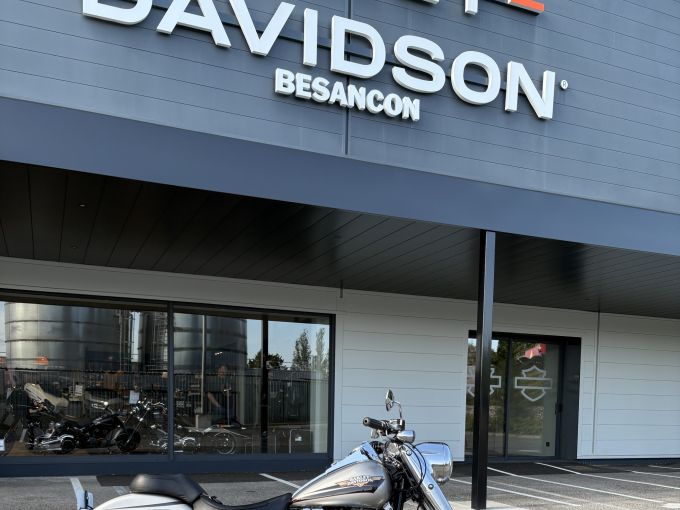 HARLEY-DAVIDSON SOFTAIL FAT BOY 1584 4