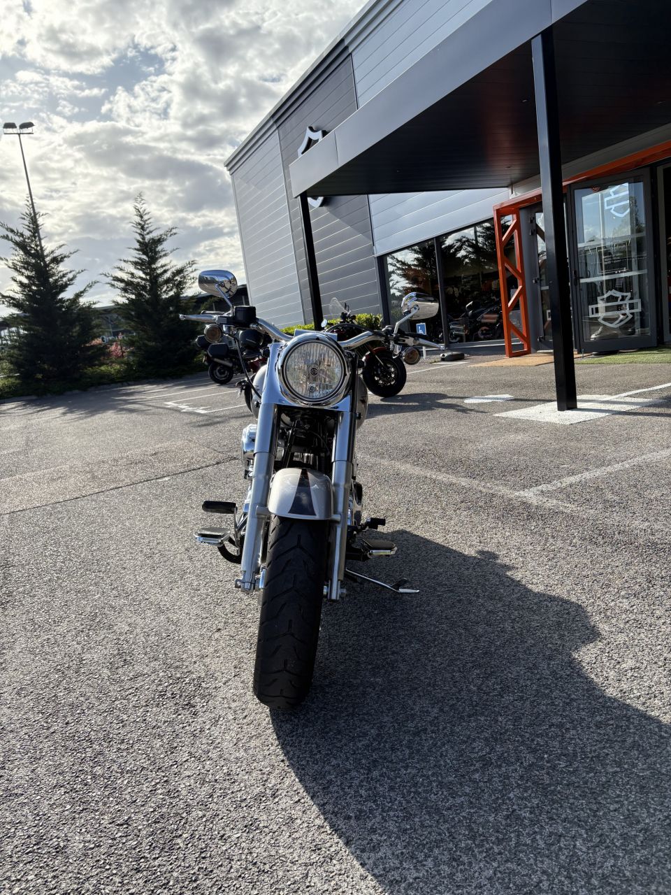 HARLEY-DAVIDSON SOFTAIL FAT BOY 1584 4