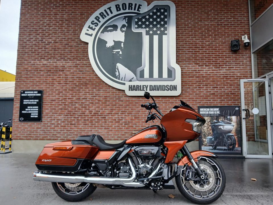 HARLEY-DAVIDSON TOURING ROAD GLIDE 1977 CVO 4