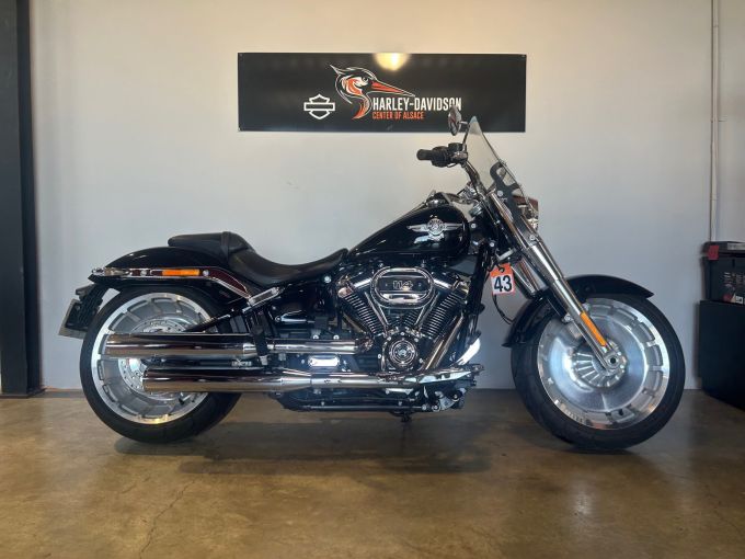 HARLEY-DAVIDSON SOFTAIL FAT BOY 1868 4