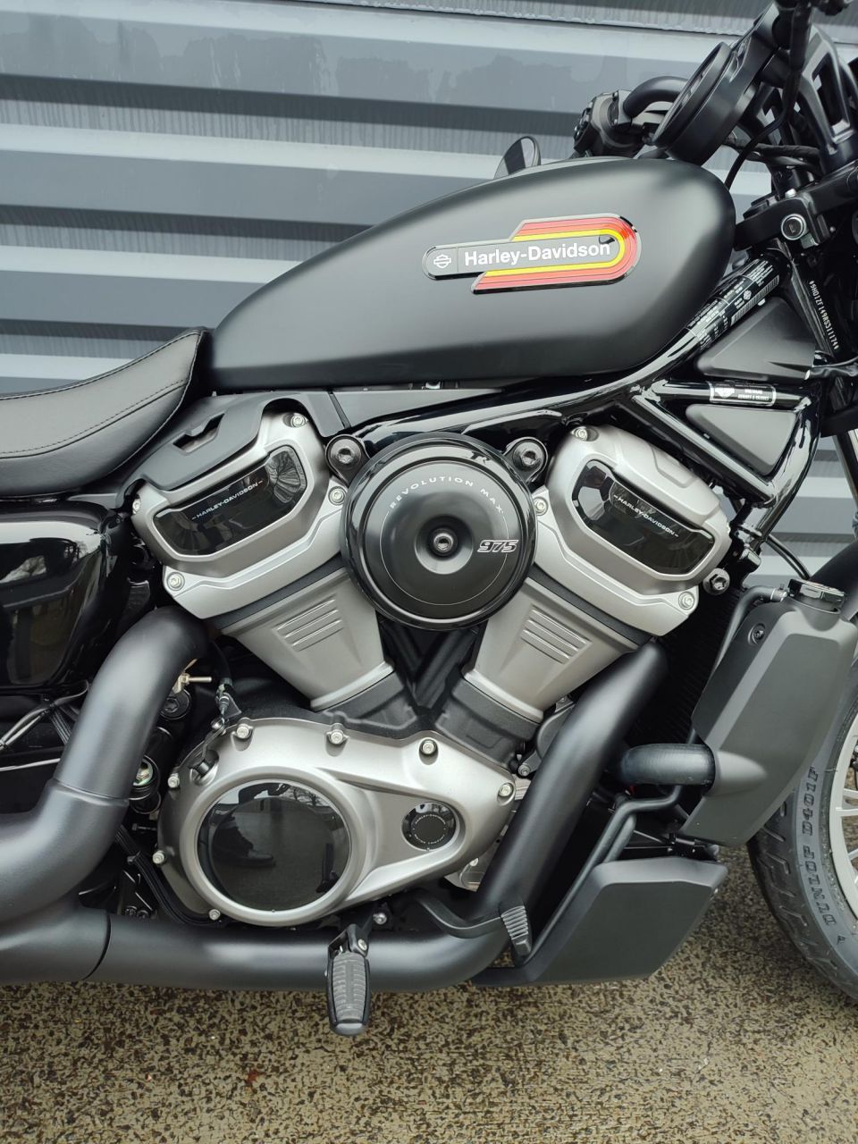 HARLEY-DAVIDSON SPORTSTER NIGHTSTER 975 SPECIAL 4