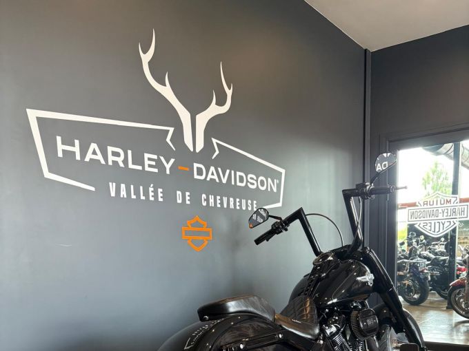 HARLEY-DAVIDSON SOFTAIL FAT BOY 1868 4