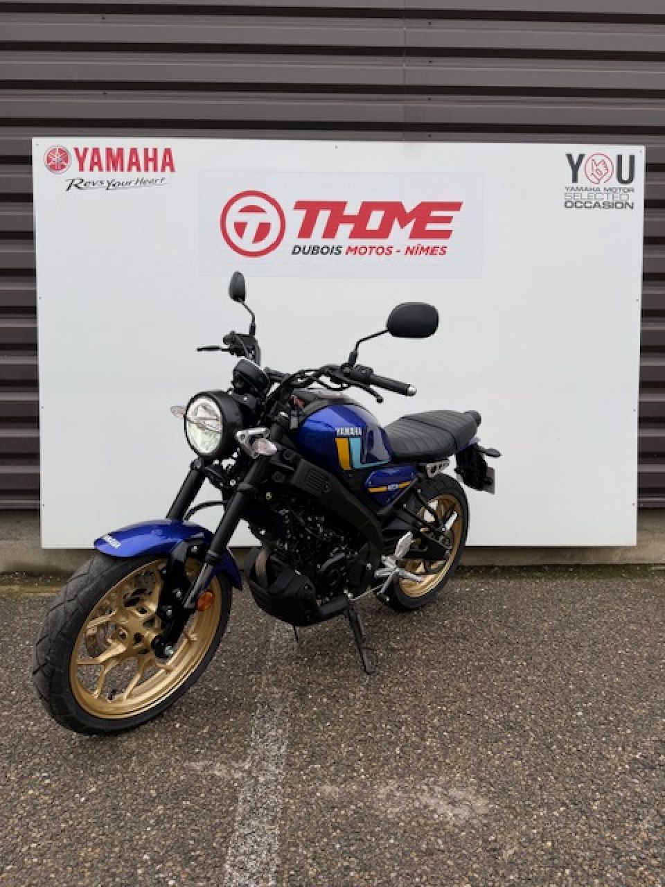 YAMAHA XSR 125 4