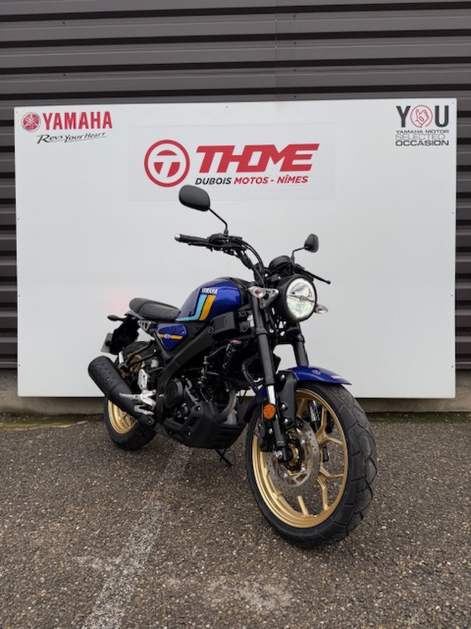 YAMAHA XSR 125 4