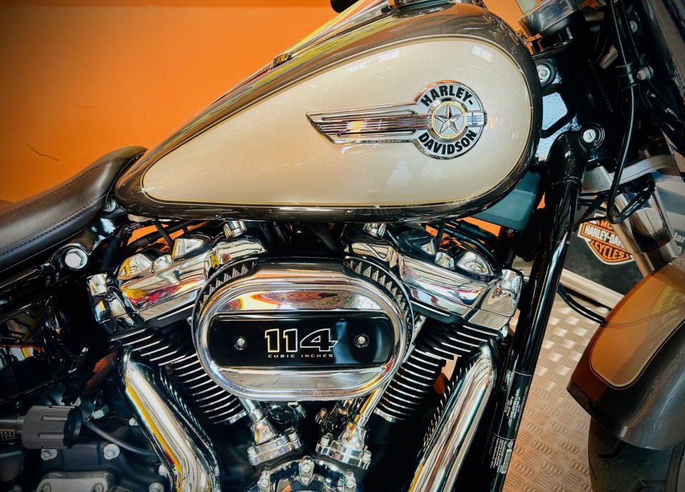 HARLEY-DAVIDSON SOFTAIL FAT BOY 1868 4