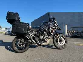 TRIUMPH Tiger 900 GT PRO - 2024