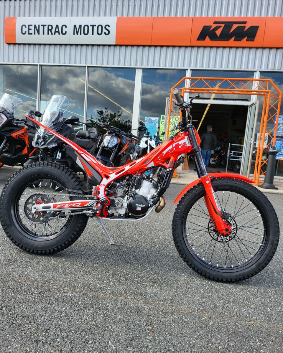 BETA EVO 80 SENIOR 4