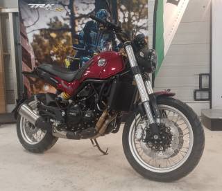 BENELLI LEONCINO 500 - 2024