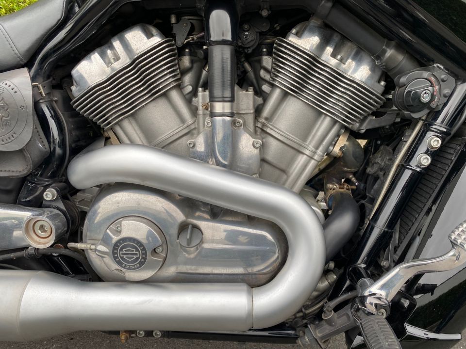 HARLEY-DAVIDSON V-ROD MUSCLE 1250 4