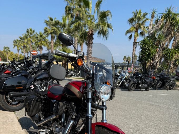 HARLEY-DAVIDSON SPORTSTER CUSTOM 1200 LIMITED 4
