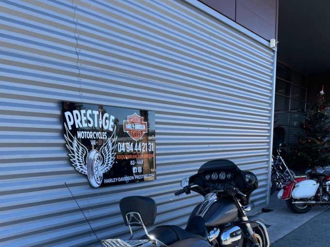 HARLEY-DAVIDSON TOURING STREET GLIDE 1745 SPECIAL 4