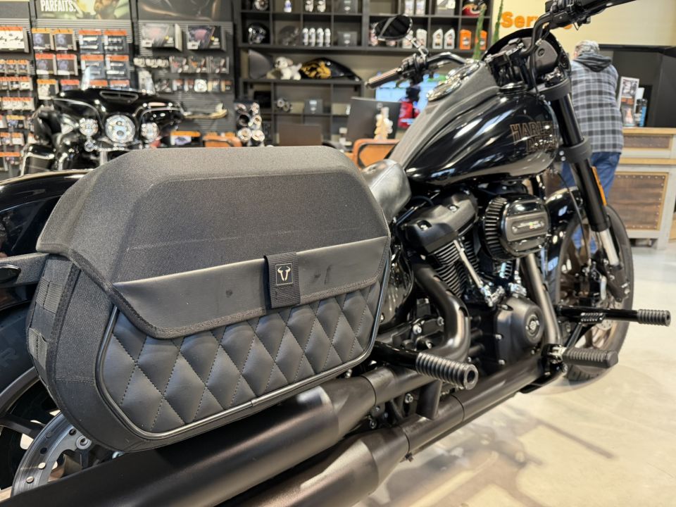 HARLEY-DAVIDSON SOFTAIL LOW RIDER 1868 S 4