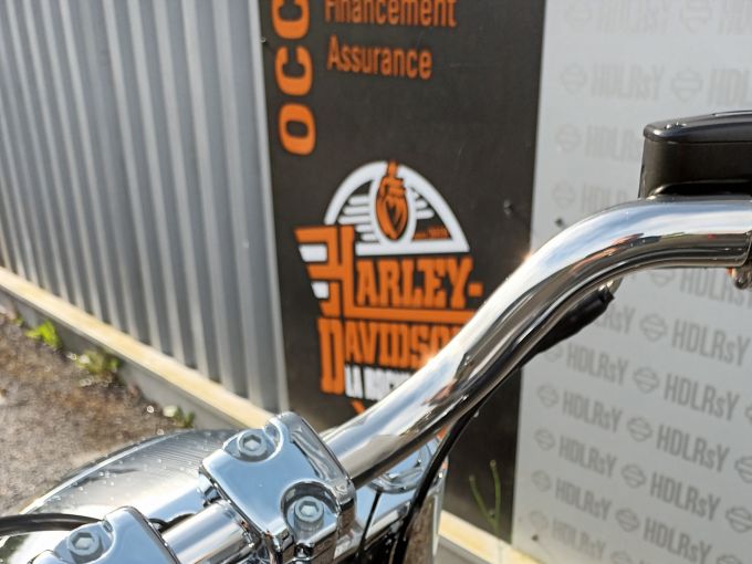 HARLEY-DAVIDSON SOFTAIL FAT BOY 1868 4