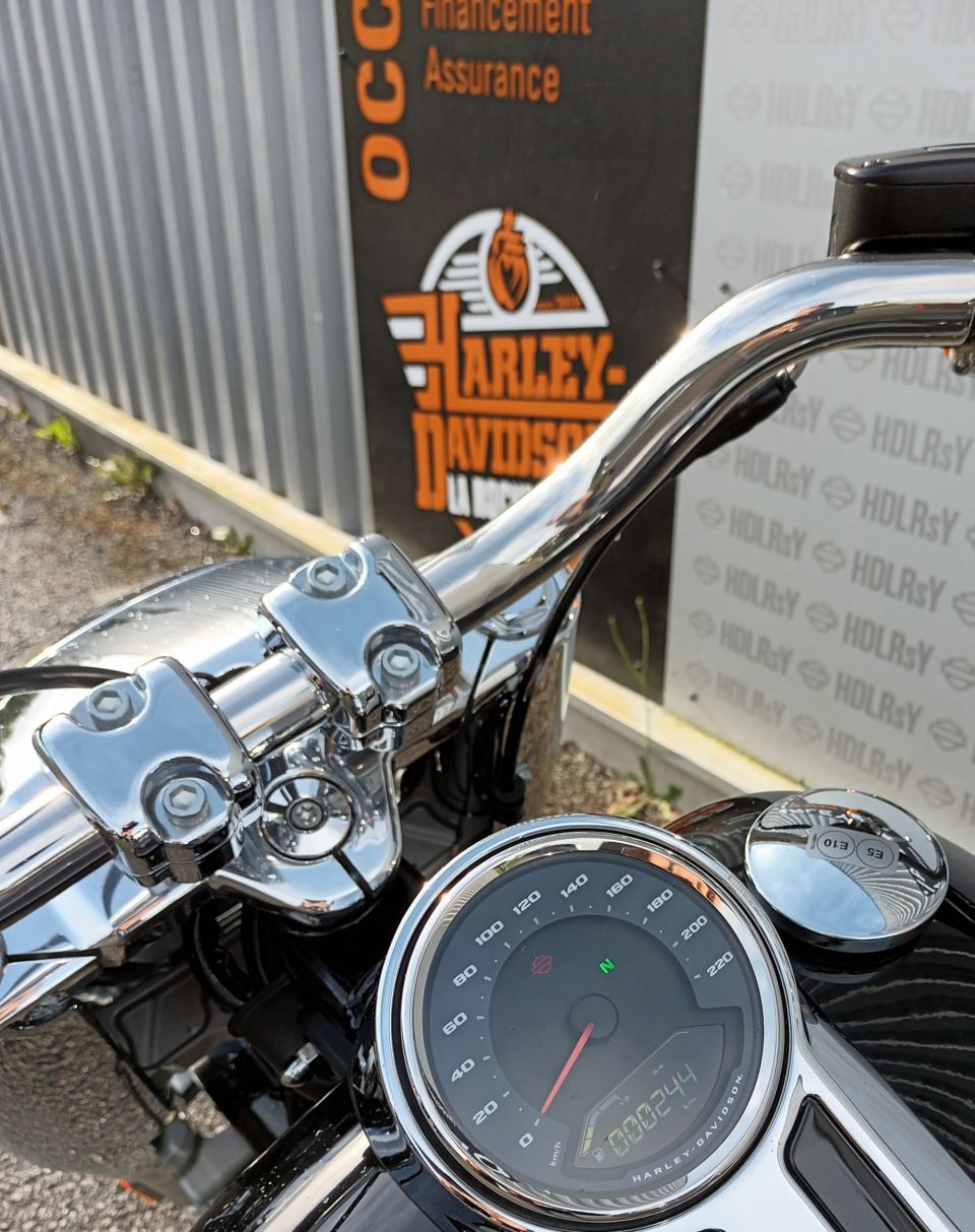 HARLEY-DAVIDSON SOFTAIL FAT BOY 1868 4