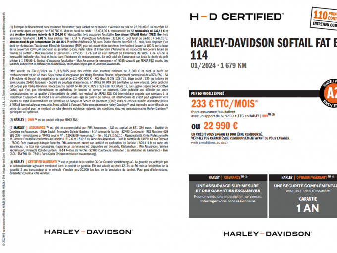 HARLEY-DAVIDSON SOFTAIL FAT BOY 1868 4