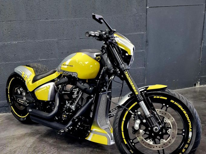 HARLEY-DAVIDSON SOFTAIL FXDR 1868 4