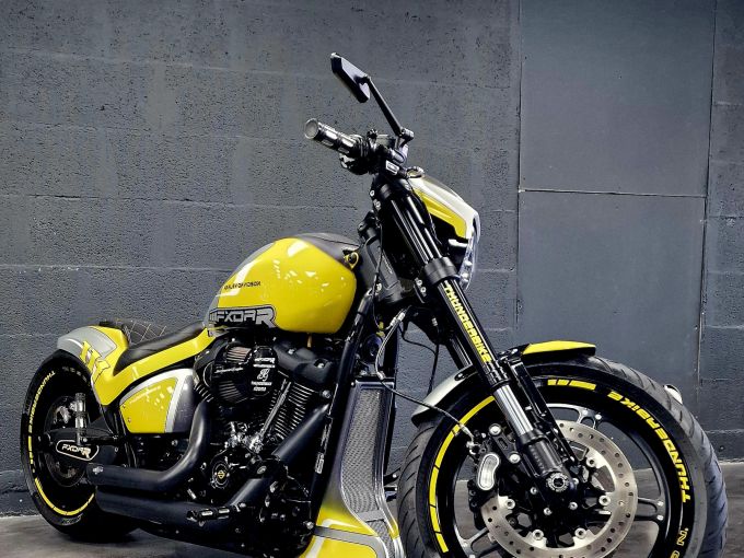 HARLEY-DAVIDSON SOFTAIL FXDR 1868 4