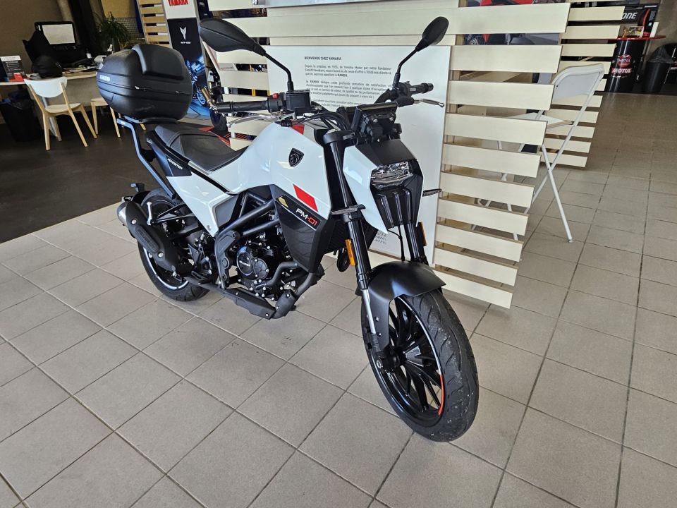 PEUGEOT PM-01 125 ROADSTER 4